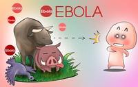 12 câu hỏi thường gặp về bệnh do vi rút Ebola