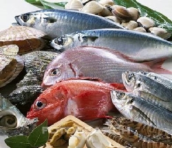 Thủy ngân trong hải sản làm tăng nguy cơ tiểu đường
