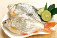 7 món ăn từ cá diếc cho người suy nhược cơ thể