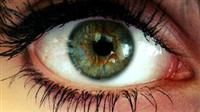 Đưa gen vào mắt để phục hồi thị lực