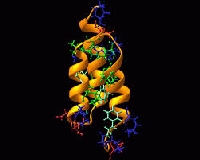 Vai trò của ARC protein trong việc hình thành trí nhớ